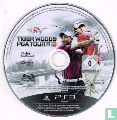 Tiger Woods PGA Tour 13 - Afbeelding 3