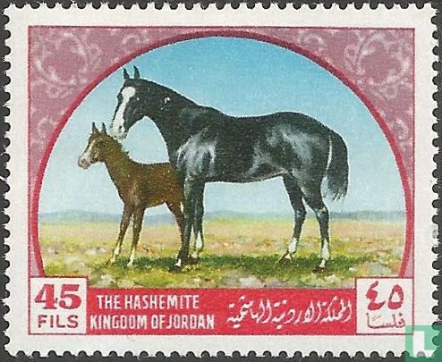 Arabische paarden