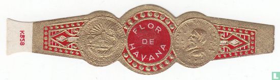 Flor de Havana  - Image 1