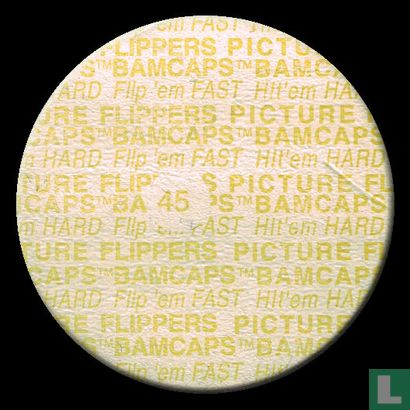 Bamcap 45 - Afbeelding 2