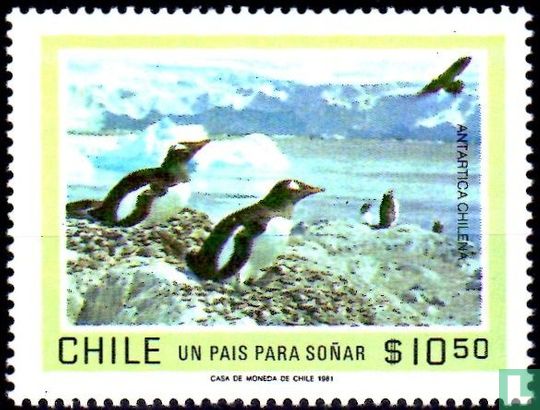 Penguins in Antarctic Territory