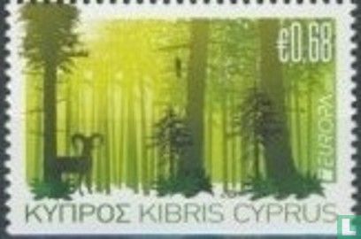 Europe – Forests