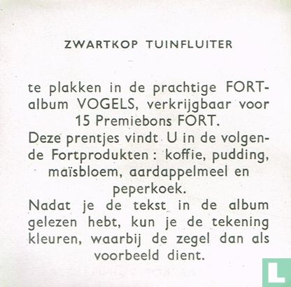 Zwartkop tuinfluiter - Image 2