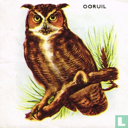 Ooruil - Image 1