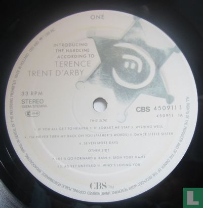 Introducing the hardline according to Terence Trent d'Arby - Image 3
