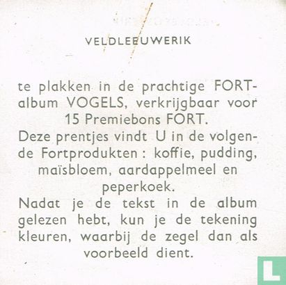 Veldleeuwerik - Image 2