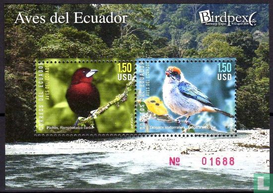 Oiseaux