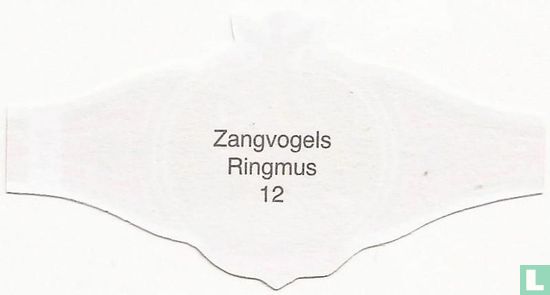 Ringmus - Afbeelding 2