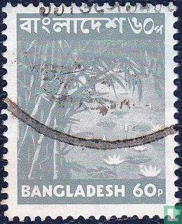 Beelden van Bangladesh 