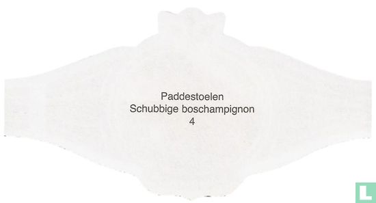 Schubbige boschampignon - Image 2