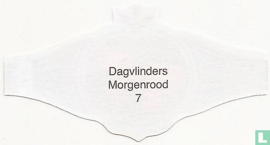 Morgenrood - Image 2