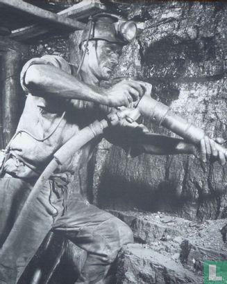 De mijnwerker