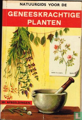 Natuurgids voor geneeskrachtige planten - Image 1