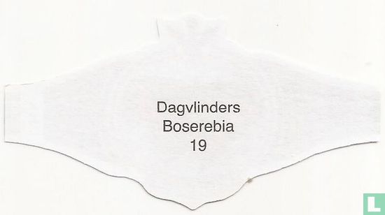 Boserebia - Afbeelding 2
