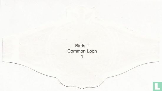 Common Loon  - Afbeelding 2