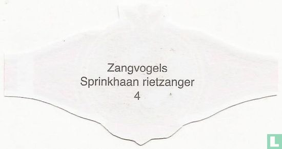 Sprinkhaan rietzanger - Afbeelding 2