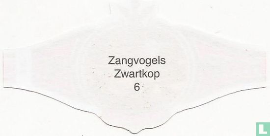 Zwartkop - Image 2