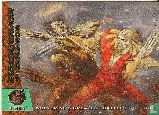 Wolverine vs. lady Deathstrike - Image 1
