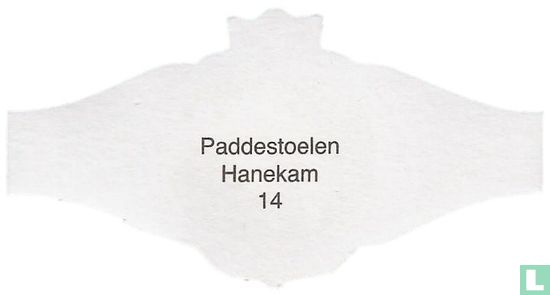 Hanekam - Afbeelding 2