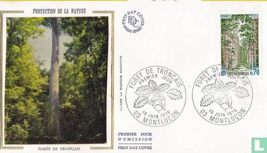 Forêt de Tronçais - Image 1