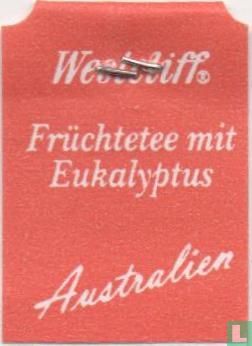 Australien Früchtetee mit Eukalyptus - Afbeelding 3