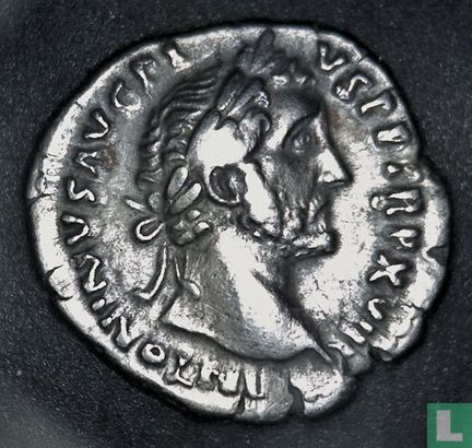 Empire romain, AR Denarius, 138-161 AD, Antonin le Pieux, Rome, 155 après JC - Image 1