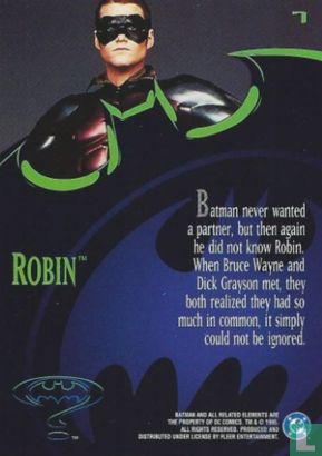 Robin - Image 2