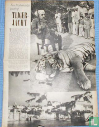 Een Mahuradja gaat op tijgerjacht - Image 1