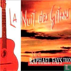 La Nuit Des Gitans - Live 1994 - Afbeelding 1