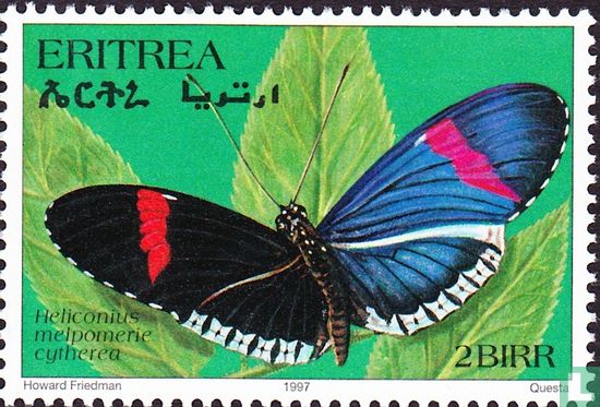 Butterflies  