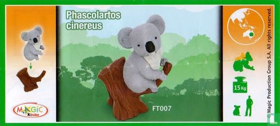Koala - Bild 3