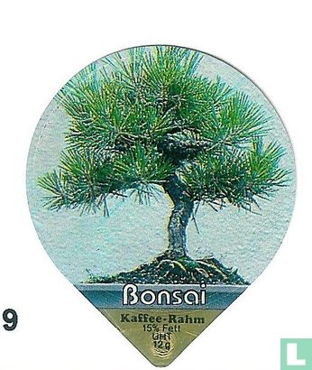 Bonsai  