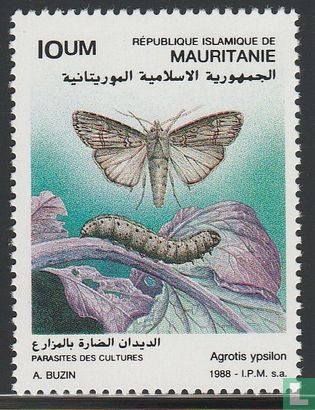 Insectes