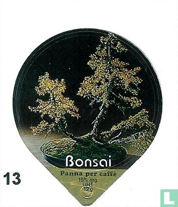Bonsai      