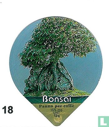 Bonsai        