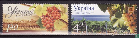 Wine growing area in Ukraine