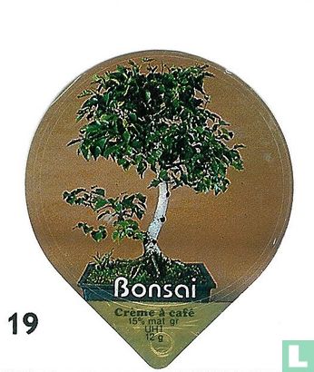 Bonsai         