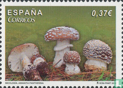 Mushrooms    