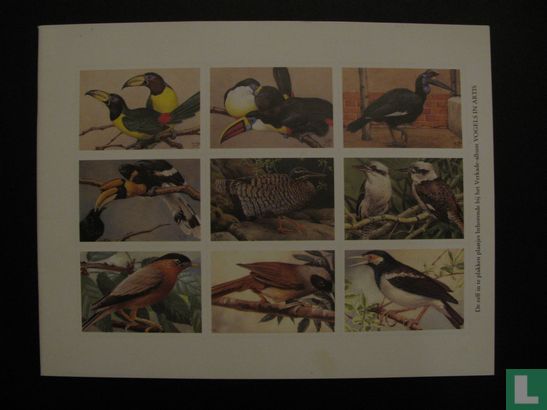 Vogels in Artis  - Image 3