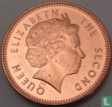 Falklandinseln 1 Penny 2004 - Bild 2