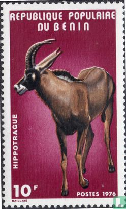 Animals, roan antelope