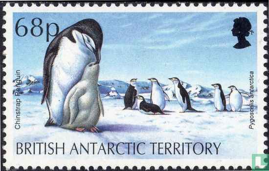 Robben en pinguïns