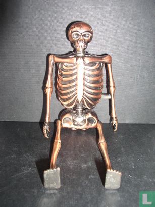 Skelet Geraamte - Image 3