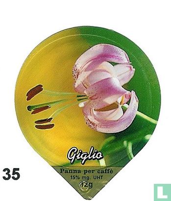 Blumen Iris     