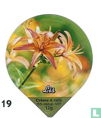 Blumen Iris   