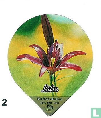 Blumen Iris 