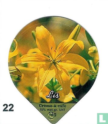 Blumen Iris   