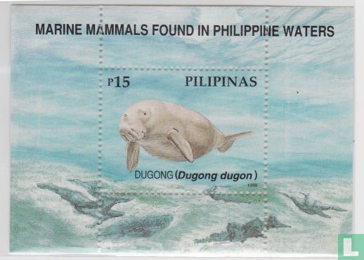 Sea mammals