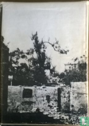 De Bommelerwaard 1939-1945 - Afbeelding 2