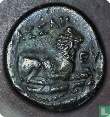Koninkrijk Macedonie, AE17, 305-297 BC, Kassander - Afbeelding 2